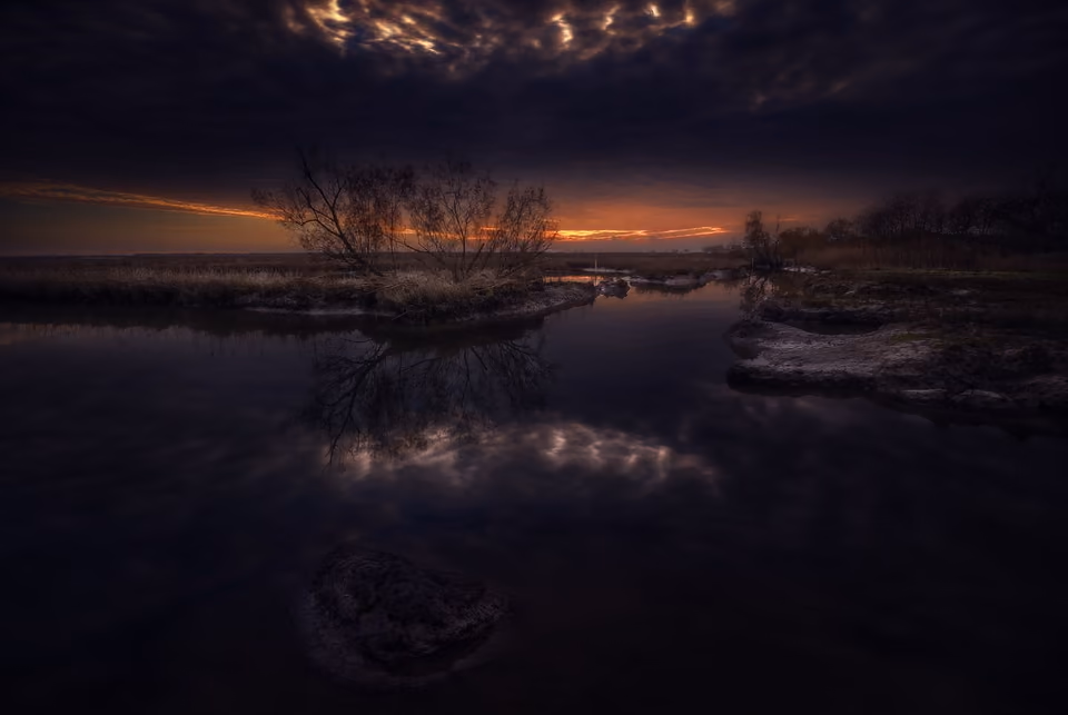 A lagoon at dusk, a bare tree and the last of the sun mirrored in the water