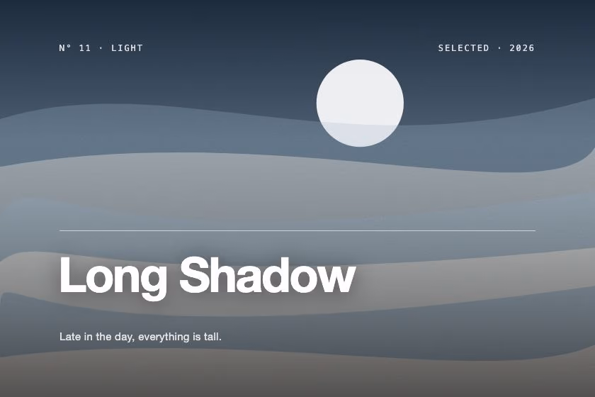 Long Shadow. Late in the day, everything is tall.
